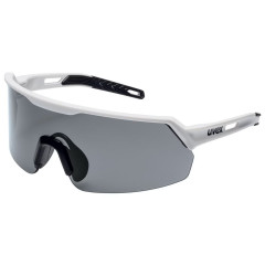 LUNETTE A BRANCHES GRIS...