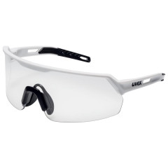 LUNETTE A BRANCHES...